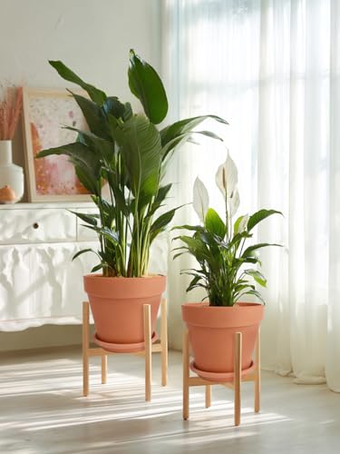 INGOFIN Terracotta Pot Set of 2 with Saucer - 10 Inch Ceramic Clay Pot for Plants with Drainage Hole, Large Terra Cotta Flower Planter with Tray for Indoor Outdoor Plants - size: 10/10 inch -2 pcs