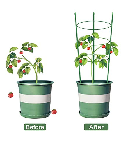 Plant Support Cages for Climbing Plant Upgrade Flower Tomato cage with Stand Stakes and Stable Support Rings, 3 Pack with 12 Clips (36") - size: 36"
