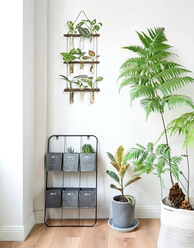 Mkono Plant Propagation Station, 3 Tier Small Brown Wall Hanging Vase Tubes - color: Brown, size: Small