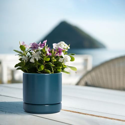 D'vine Dev 2-Pack Ceramic Pots with Saucers, Teal, 4.7 in, 94-V-B-9 - color: Teal, size: 4.7 Inch