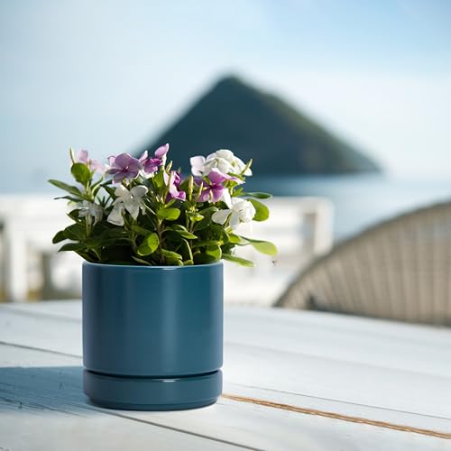 D'vine Dev 2-Pack Ceramic Pots with Saucers, Teal, 4.7 in, 94-V-B-9 - color: Teal, size: 4.7 Inch