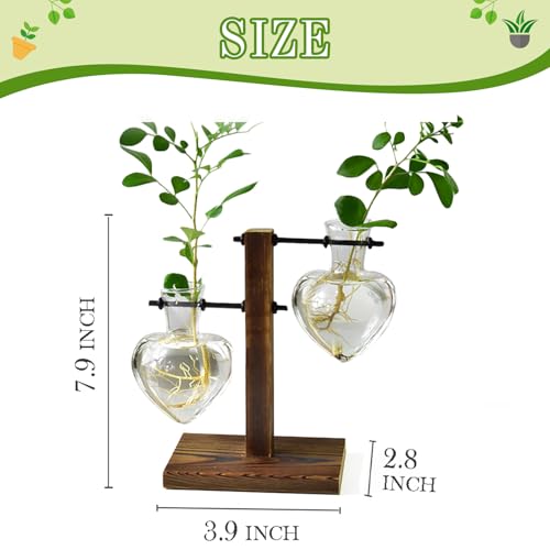 XXXFLOWER Plant Propagation Station Terrarium Wooden Stand 2 Love Bulb Vase - color: Transparent
