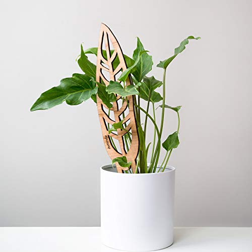 Treleaf Bare™ Anthrulla™ – Customizable Wooden Queen Anthurium Leaf Plant Trellis – Regular Size 12” Indoor Plant Support and Decorative Houseplant Stake for Potted Vines and Climbing Plants - size: Regular - 12" tall, style: Anthrulla