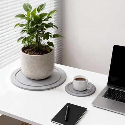 6" Dry Diatomite Stone Plant Saucer & Tray - 2 Pack, Light Gray - color: Light Gray, size: 6" (2 Pack)