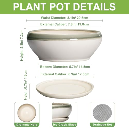 SQOWL Bonsai Tree Pots - 8 Inch Ceramic Succulent Pots with Drainage Hole and Saucer, Shallow Round Planter Indoor Outdoor, Ceramic Bonsai Pot, Planter Bowl, House Decor, Plant Lover Gift, Gray-Beige - color: Grey-white, size: 8 Inch