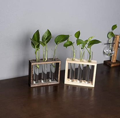Wall Mounted Hanging Glass Test Tube Planter Propagation Station Glass Vase Rack with Wood Stand, Plant Terrarium Holder for Hydroponics Succulent Air Bamboo Plants with Test Tube