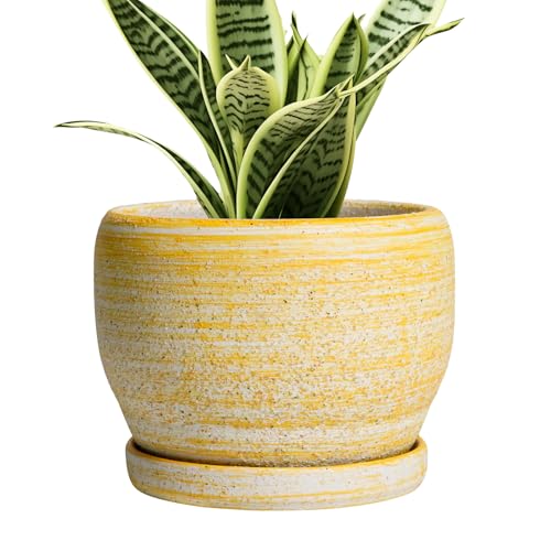 SQOWL Ceramic Planter - 6 Inch Plant Pot Indoor with Drainage Hole and Saucer, Decorative Ceramic Flower Pot Outdoor, Round Succulent Planters, Home Office Bedroom Decor, Birthday Gifts, Yellow - color: Brushed Yellow, size: 6 Inch
