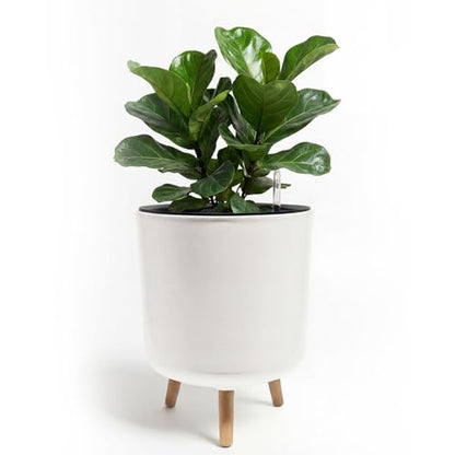 Bamworld Self Watering Pots for Indoor Plants with Water Level Indicator - size: 12 in