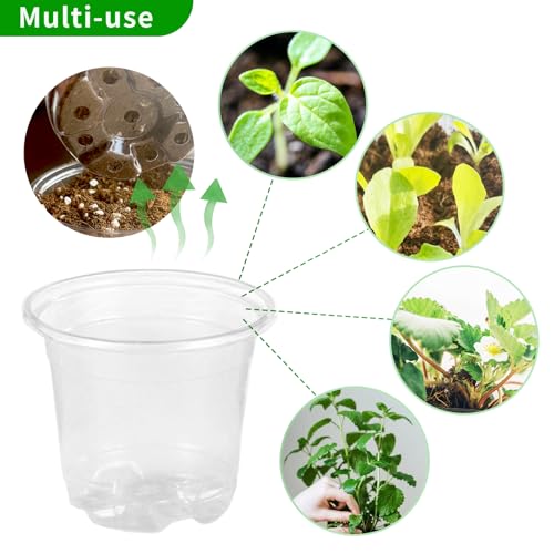 JOPY Plant Nursery Pots with Humidity Dome Seed Starter Pots Seedlings Planting Pots Small Planter Containers with Drainage Holes (Transparent, 5/6/7 inch-30Pcs) - size: 5/6/7 inch-30Pcs