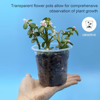 RooTrimmer 4" Clear Seeding Pots 50-Pack Round for Seeds Starting, Seeds Germination Transparent Nursery Pots with Drainage Holes (4Inch,Clear,50Pcs) - size: 4Inch 50P