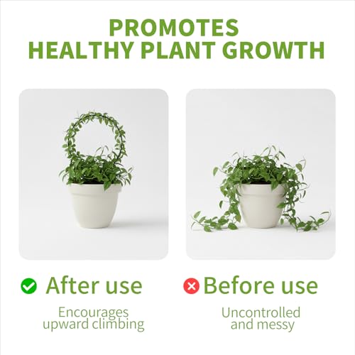 Trellis for Potted Plants, Small House Plant Support, Indoor Plant Trellis for Climbing Plants (Circle and Heart Shape)