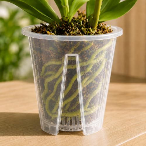 Clear Orchid Pots, 5.5 inch, 10-Pack - size: 5.5inch-10pack