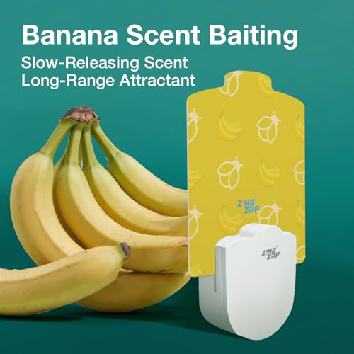 ZingZap Flying Insect Trap Indoor, Plug & Prey Dual-Baiting Fly Traps with Banana Scent & Blue Light, 2X More Effective Catch, House Flies, Gnats, Moths, Base Plug & 5 Cartridges - size: Banana