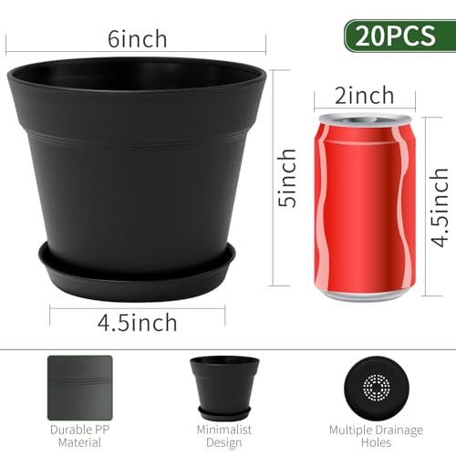 GARDIFE 20 Pack 6 inch Plant pots, planters for Indoor Plants, Flower pots, Black - color: 6-black, size: 6 inch