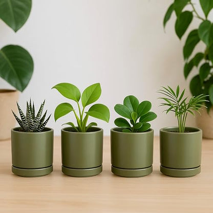 D'vine Dev 2-Pack Ceramic Pots with Saucers, Olive, 3.5 in, 94-V-A-J - color: Olive, size: 3.5 Inch