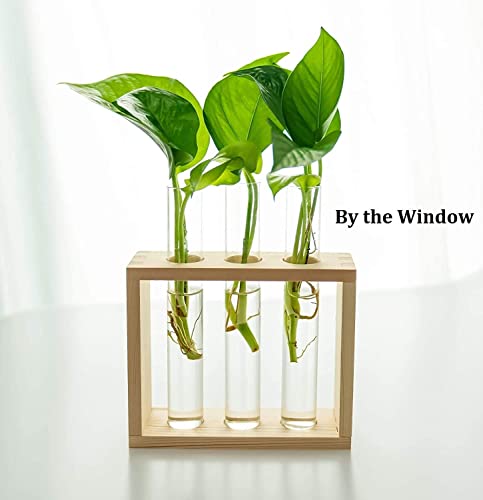 Kingbuy 3 Pack Glass Test Tube Propagation Vase Hydroponic Cuttings Planter - size: 3 Pack