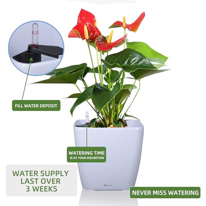 Dexceder 9x8 Self Watering Planter (White High Gloss) - color: Ceramic White, size: 9x8