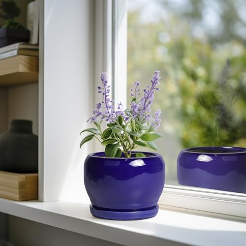 SQOWL Ceramic Planters for Indoor Plants - 6 Inch Plant Pot with Drainage Hole and Saucer, Round Small Planter, Modern Decorative Flower Pot Outdoor, Living Room Decor, Garden Gifts for Women, Blue - color: Cobalt Blue, size: 6 Inch