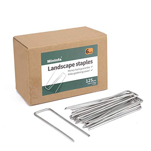 Mininfa 6 Inch Heavy Duty 9 Gauge 125 Pack Galvanized Garden Stakes, Rust Resistant Landscape Staples, Lawn pins Fabric Staples for Anchoring Landscaping, Weed Barrier Fabric, Ground Cover - size: 6 inch 125 Pack