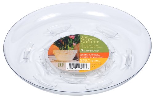 Plastic SS010 Super Saucer, 10-Inch - size: 10