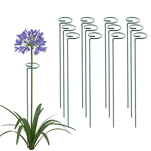 Thealyn 12 Pack 18 Inch Plant Support Stakes, Metal Single stemmed Flower Support Hoops，Garden Plant Stakes Plant Prop for Amaryllis Orchid Lily Rose Peony Tomatoes Gladiolus - color: 18 inch-Green