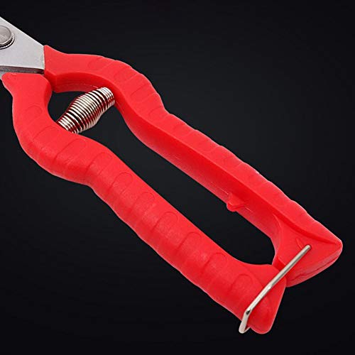 KATUR Garden Rose Pruning Shears Scissors, Professional Hand Pruners Straight Blades Stainless Steel for Flower Arranging, Plant Trimming, Fruit Harvesting (65mm Blade Length) - size: 65mm
