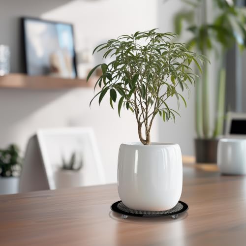 10inch Plant Stand with Wheels , 10" Black Plant Caddy Indoor - size: 10 inch Round