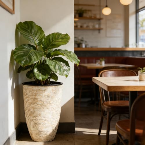 Worth 21" Tall Plant Pots Large Planters for Indoor Outdoor Plants Set of 2 - color: Beige