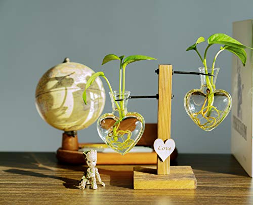 Kingbuy Heart Shaped Glass Hydroponic Vase with Retro Wooden Stand - Desktop Plant Terrarium for Bulb Planter, Water Plant Propagation Glass Vase Pot Planter Flower Desktop Decoration Home Garden - size: Heart （2 Bulb Vase）