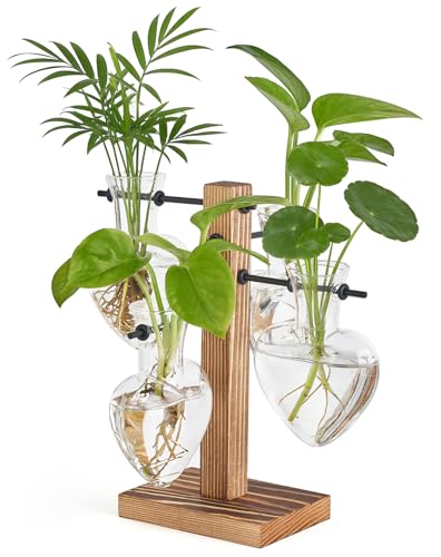 Mkono Propagation Stations,4 Heart Shaped Glass Plant Vases with Wood Stand - size: 4 Heart Bulb Vase