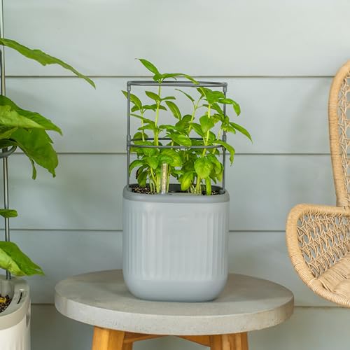 Vego garden Mini Planter Indoor Pots with Trellis Self-Watering Herb Countertop Planter for Climbing Vegetables Flowers Mint Plants Cage- Fog Gray - color: Fog Gray, size: 1 Pack