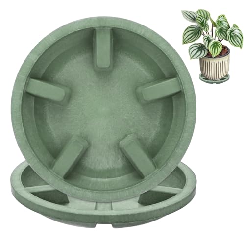 M METERXITY 2-Pack Plant Saucers, 5 Inch OD Anti-Rot Root Resin Flower Pot Plant Saucers for Indoor/Outdoor, Flowerpot Drip Tray [3.7 Inch ID, Green] - color: Green, size: 5 Inch OD