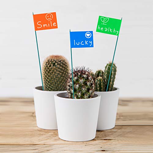 Jetec 120 Pieces Plant Support, Include 18 Inch Wood Plant Stake, Plant Clips, Garden Plants Bamboo Stake Craft Floral Picks Orchid Clips, Green