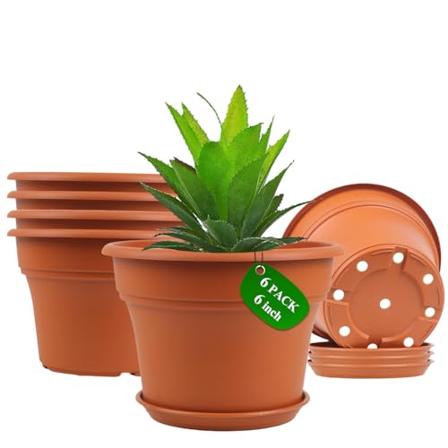 Pottiffe Plant-Pots-Planters-Indoor-Outdoor, 6 inch 6 Pack Terracotta - color: Terracotta, size: 6 inch-6Pack