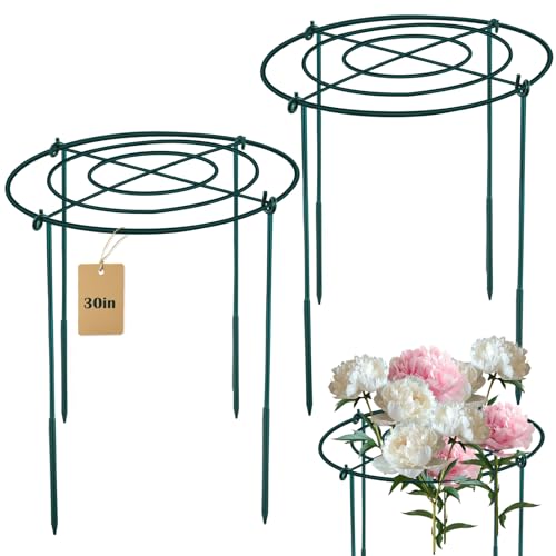 2Set Metal Peony Grid Cages, 30"H X 13"D Large Flower Support Cages Grow Through Hoop Ring Peony Stakes Garden Plant Support Rings Heavy Duty Plant Braces Peonies Structure for Outdoor Plants Blossoms - color: 2Set Green