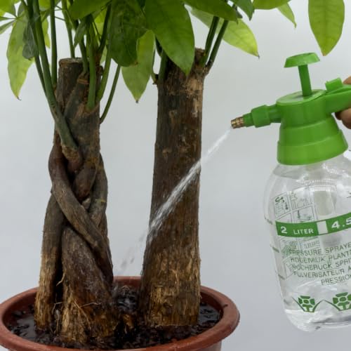 2L Garden Sprayer,Pressure Spray Bottle,Hand Pump Sprayer (2L Green) - color: 2L Green