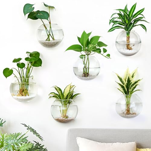 DomeStar Set of 6 Wall Vases, Wall Mounted Propagation Station - size: 6pcs