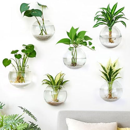 DomeStar Set of 6 Wall Vases, Wall Mounted Propagation Station - size: 6pcs