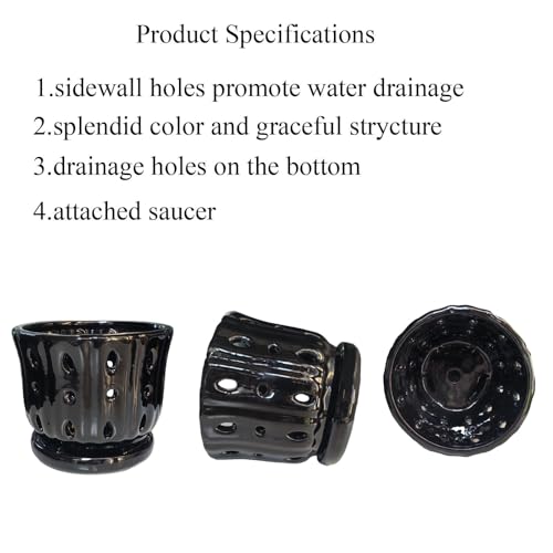 Ceramic Orchid Pot With Attached Saucer and Drainage Hole 6'' (Black) - color: Black