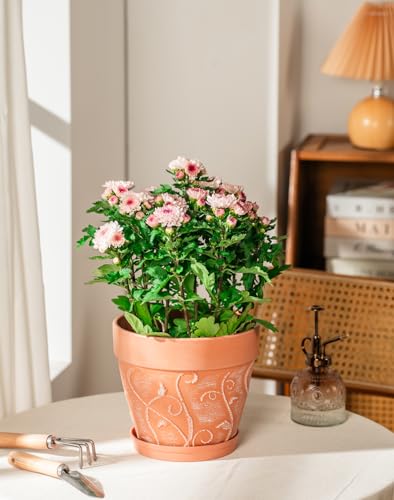 Melphoe Plant Pots Indoor with Drainage & Saucer, 2Pack 8 inch Flower Pots Outdoor Planters for Indoor Plants Garden Home Decor Cactus Succulent, Rigid Plastic (Imitation-Terracotta) Vine-Embossed - color: Terracotta Color, size: 8 inch