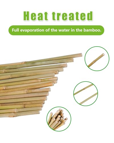 Natural Bamboo Plant Stake（Approx 5FT 30Pcs） Sturdy Bamboo Poles, Durable Plant Bamboo Stake, Garden Climbing Plant Bracket. - size: 4.8ft-30PCS