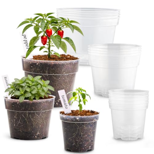 RooTrimmer 15 Pack 8/6/4 Inch Clear Nursery Pots with Drainage Hole, Transparent Plastic Plant pots, Sturdy Planting Starter Pots for Seedlings Herbs Flowers Vegetable (Clear-15P) - color: Clear, size: Mix 4/6/8 Inch 15 Pack