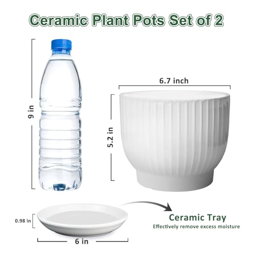 Ceramic Plant Pots, 6.7 Inch, Pure White, Set of 2 - color: Pure White, size: 6.7 Inch(2 PCS)