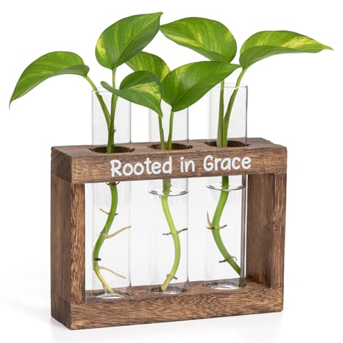 Rooted in Grace Propagation Station – Wooden Plant Holder with 3 Glass Vases, Indoor Rooting Station for Cuttings, Christian-Inspired Gift for Women, Birthday, Housewarming, Plant Lover Décor - size: 3 Glass Vases
