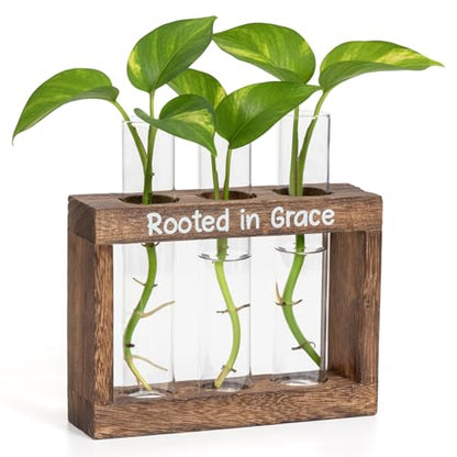 Rooted in Grace Propagation Station – Wooden Plant Holder with 3 Glass Vases, Indoor Rooting Station for Cuttings, Christian-Inspired Gift for Women, Birthday, Housewarming, Plant Lover Décor - size: 3 Glass Vases