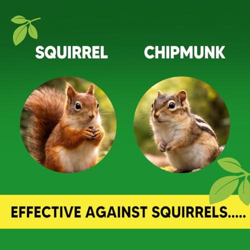 AUDQQM Squirrel Repellent Outdoor, Chipmunk Away Repellent, 8 Pack - size: 1.4 Ounce (Pack of 8)