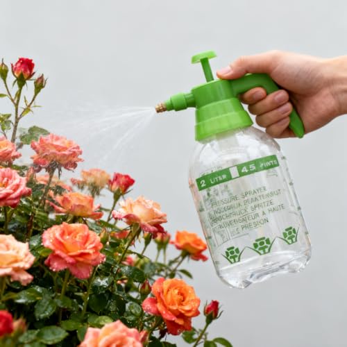 2L Garden Sprayer,Pressure Spray Bottle,Hand Pump Sprayer (2L Green) - color: 2L Green
