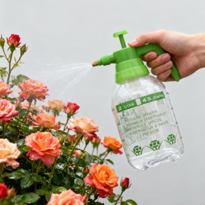 2L Garden Sprayer,Pressure Spray Bottle,Hand Pump Sprayer (2L Green) - color: 2L Green