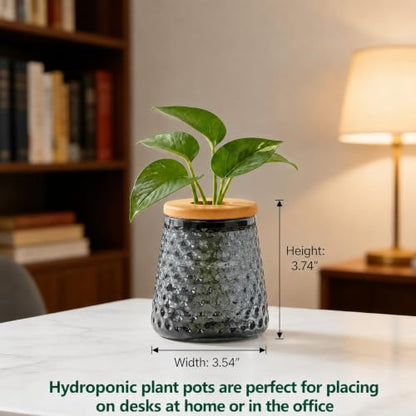 Desktop Plant Hydroponic Vases, Water Plant Jars, Gardening Gifts for Office and Home, Outdoor, Gray Ripple Pattern - color: Gray Ripple Pattern