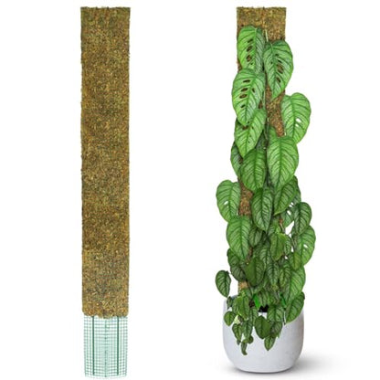 DUSPRO 59" Flat Mesh Moss Pole for Big Climbing Plants, (1pc., 59'') - size: 59" FLAT MOSS POLE